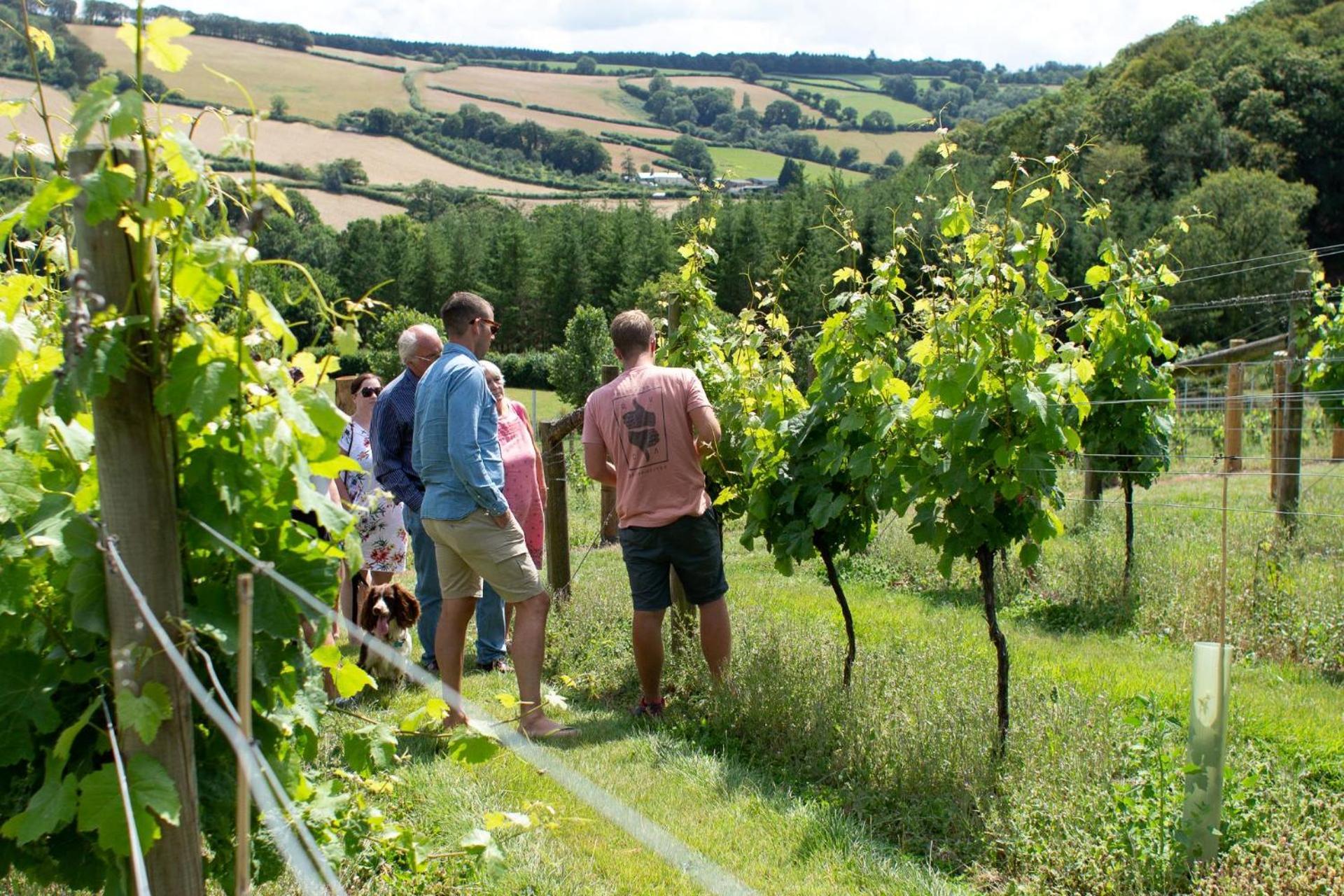 فيلا Couples Retreat In Beautiful West Devon Countryside Broadwoodwidger المظهر الخارجي الصورة