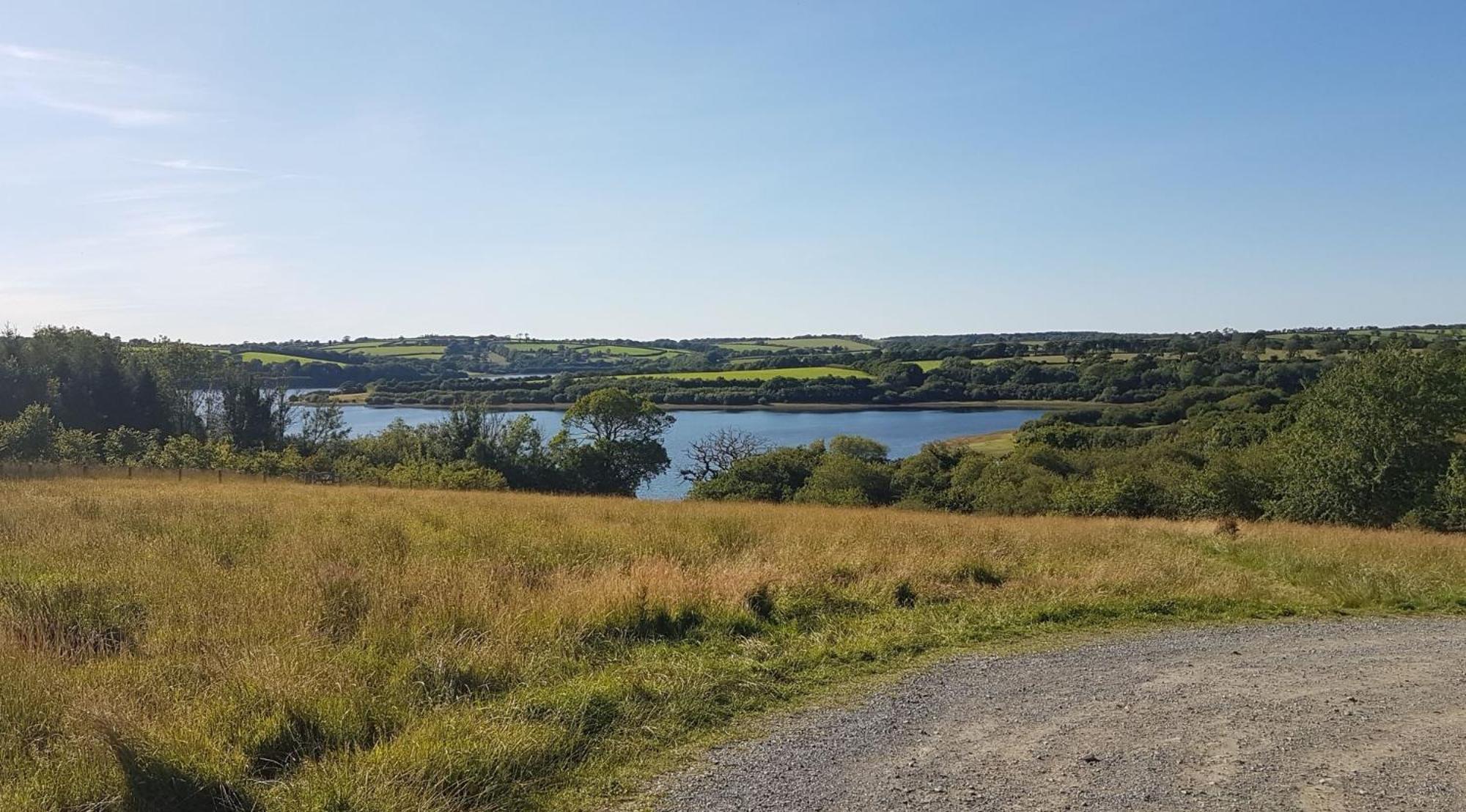 فيلا Couples Retreat In Beautiful West Devon Countryside Broadwoodwidger المظهر الخارجي الصورة