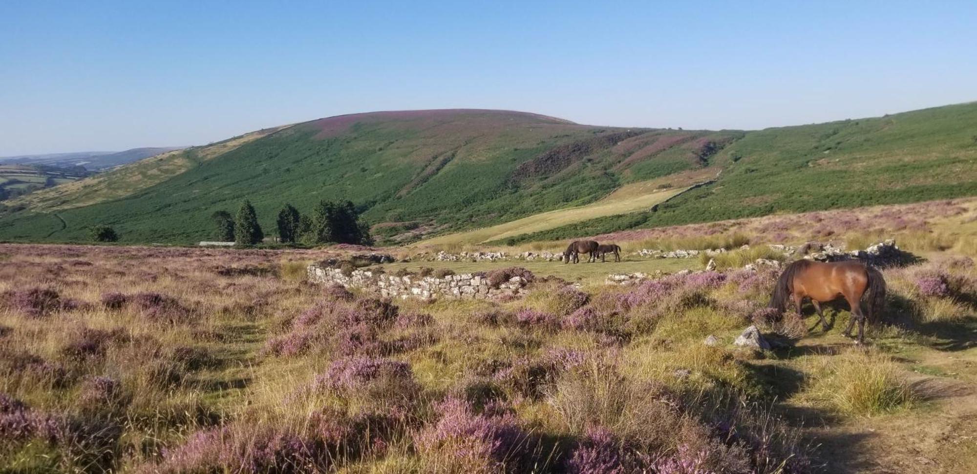 فيلا Couples Retreat In Beautiful West Devon Countryside Broadwoodwidger المظهر الخارجي الصورة