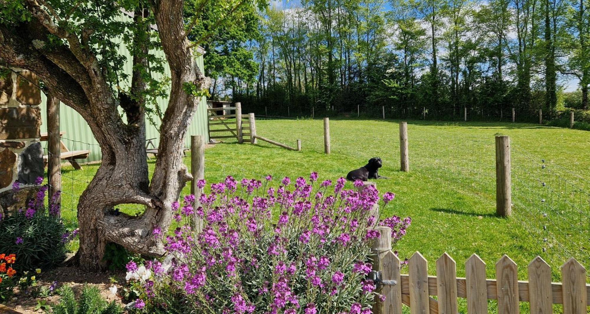 فيلا Couples Retreat In Beautiful West Devon Countryside Broadwoodwidger المظهر الخارجي الصورة